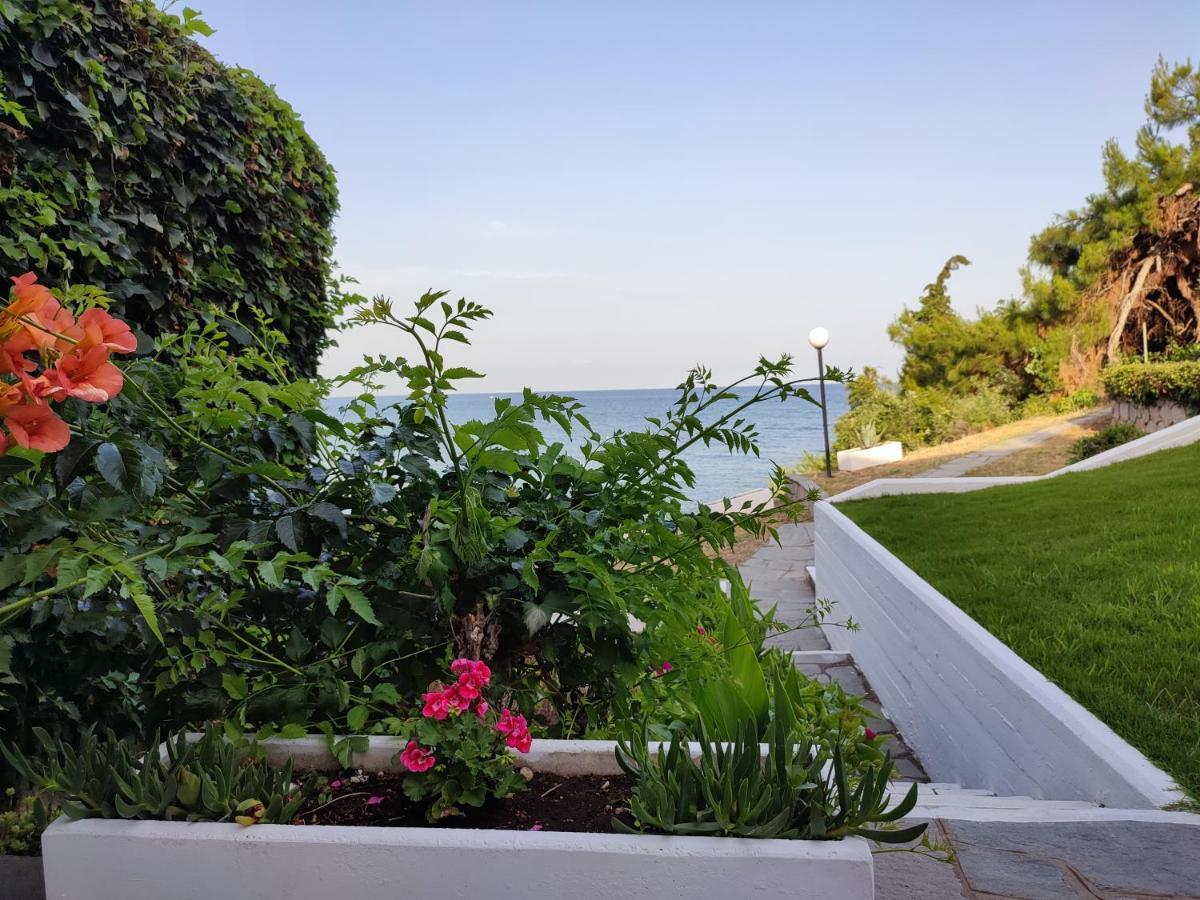 Beach House Emme Paleo Tsifliki Exterior photo